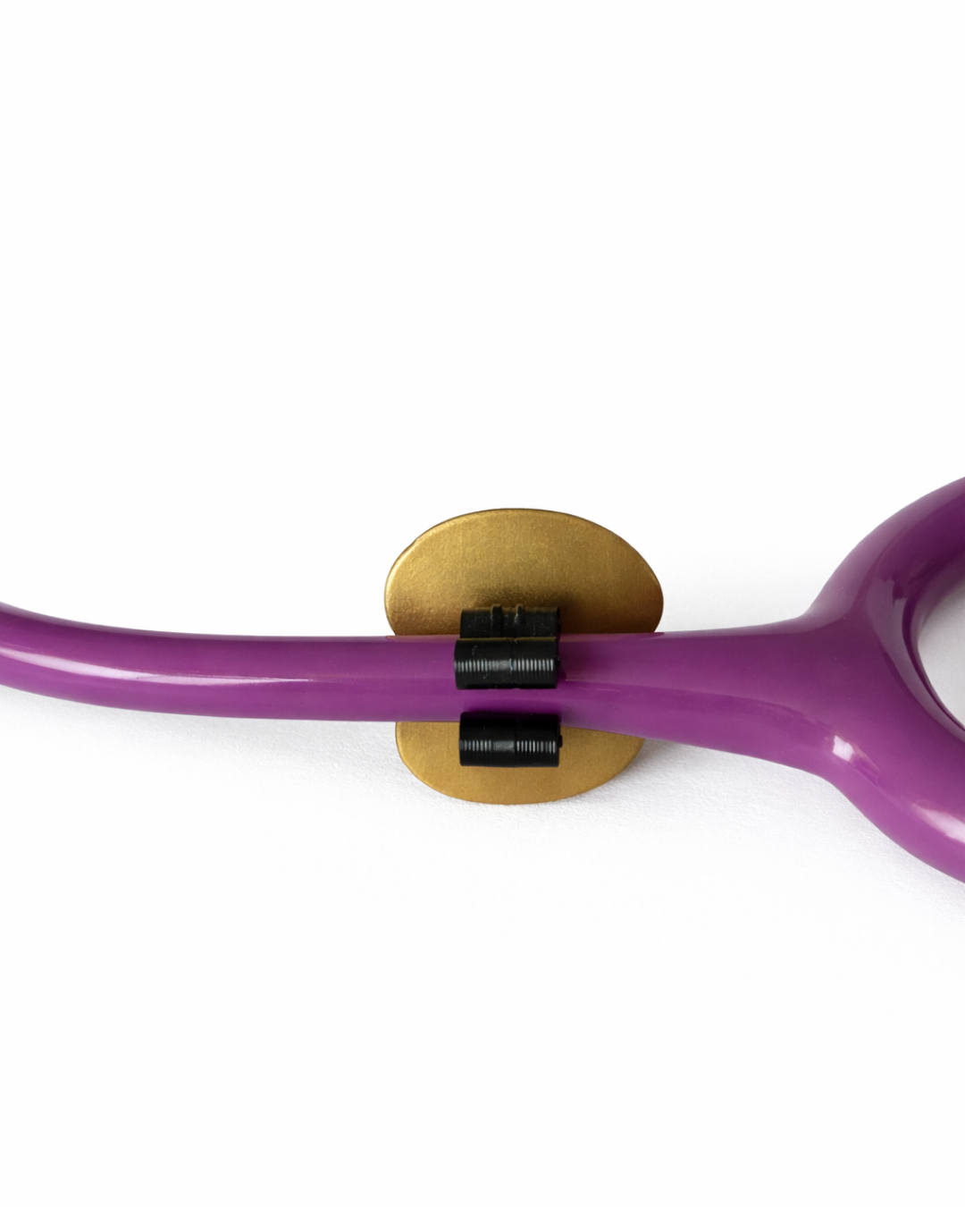 Kora & Kiki the Kidneys