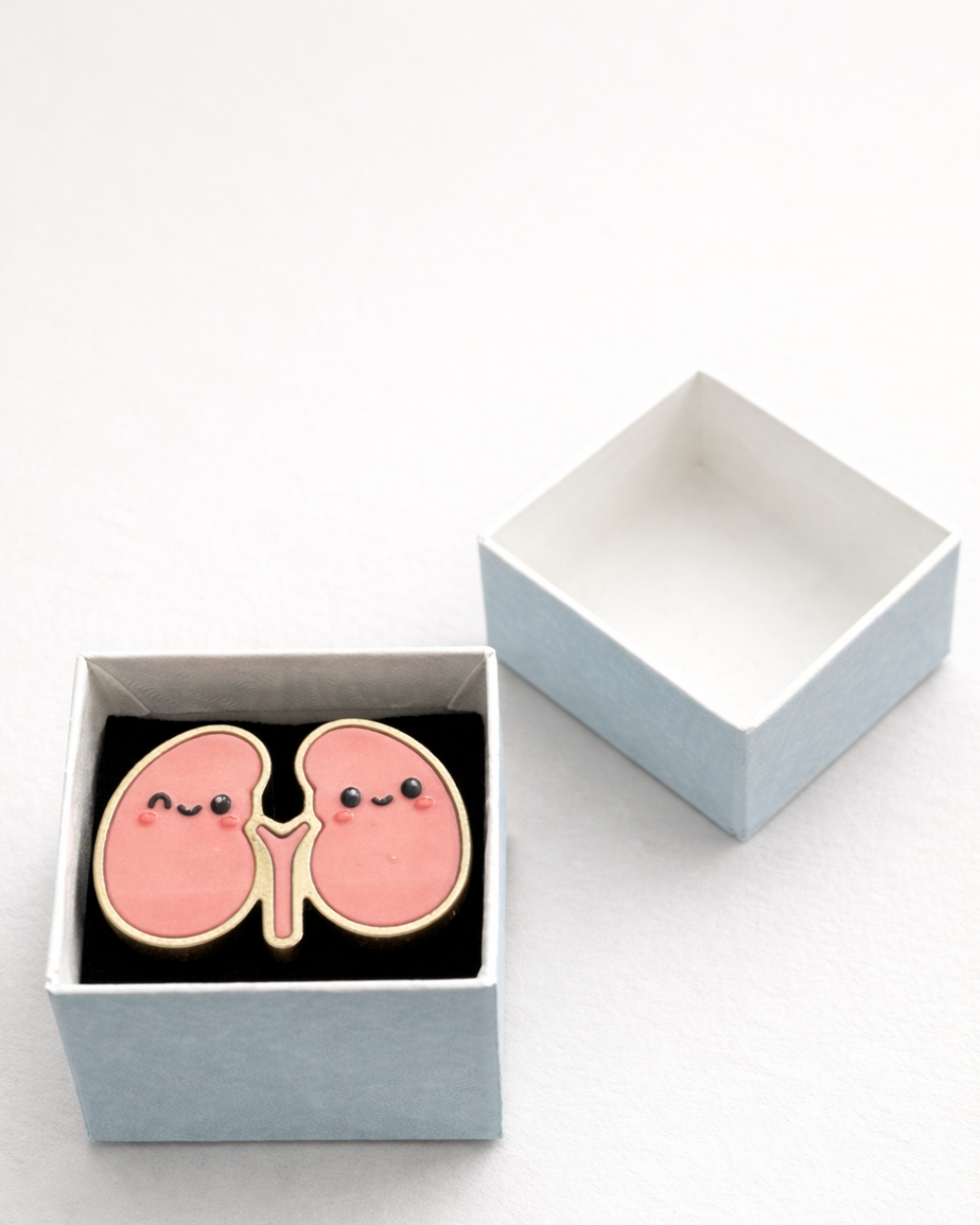 Kora & Kiki the Kidneys