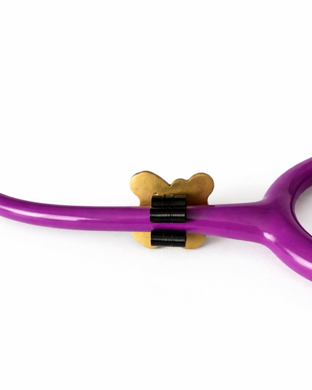 Pipi the Pediatrics Mascot