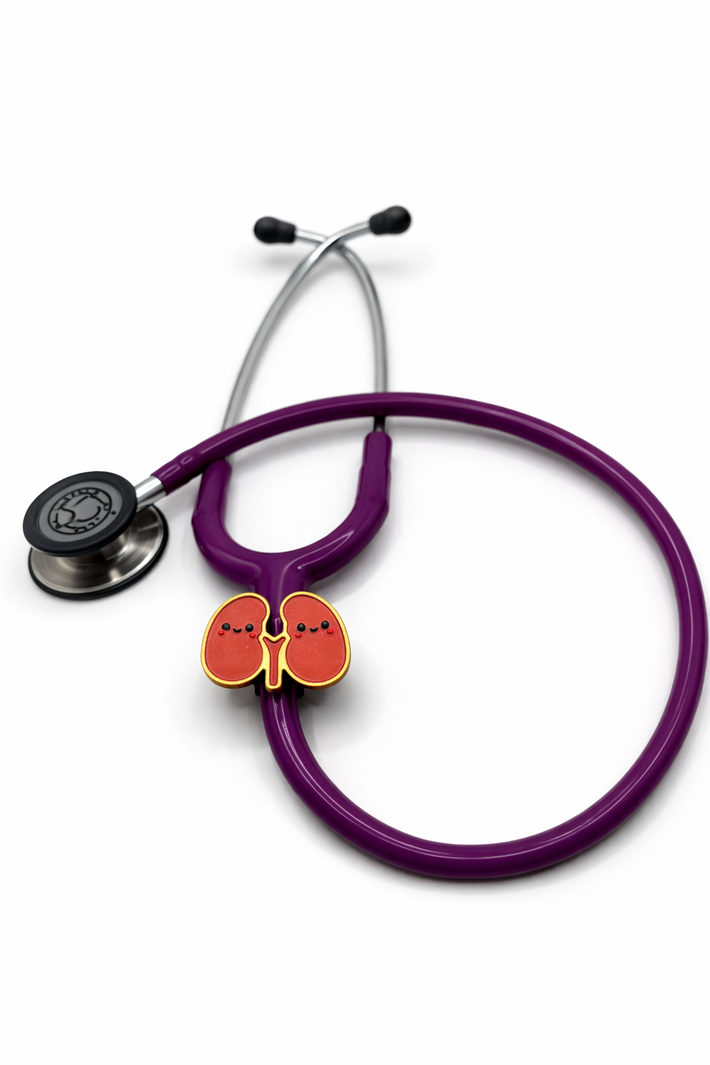 Kora & Kiki the Kidneys